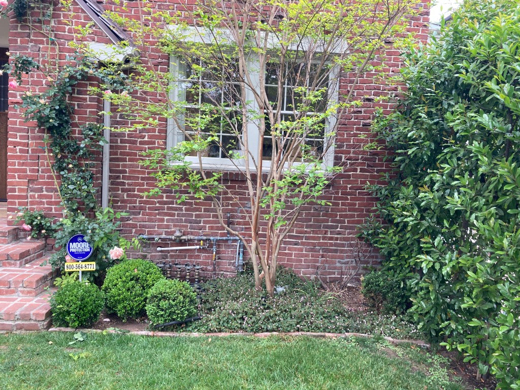 Charming front yard landscaping
