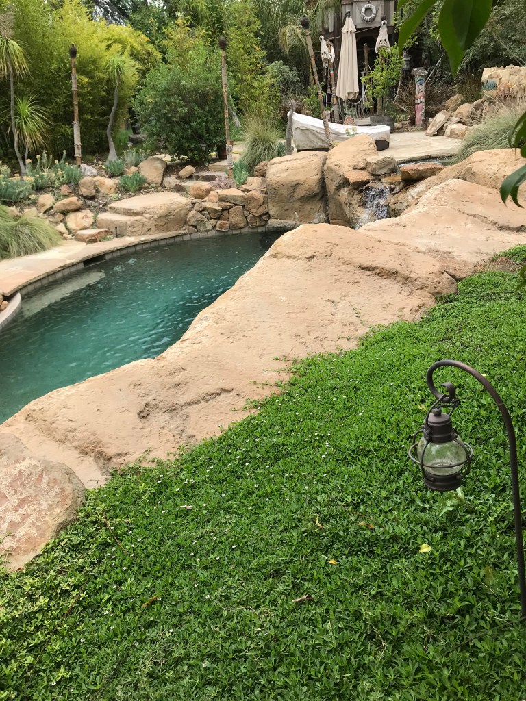 A tranquil backyard scene featuring a curved swimming pool bordered by natural stone rocks and surrounded by lush greenery. A lantern stands on the grassy area, adding a decorative touch to the peaceful outdoor environment.
